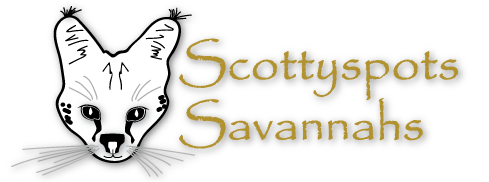 Scottyspots Savannahs